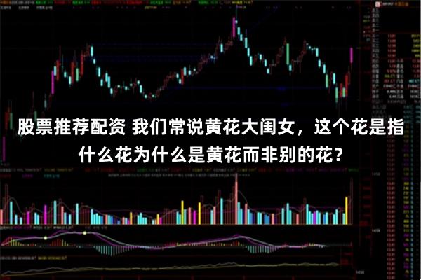 股票推荐配资 我们常说黄花大闺女，这个花是指什么花为什么是黄花而非别的花？