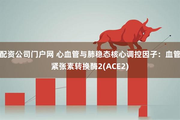 配资公司门户网 心血管与肺稳态核心调控因子：血管紧张素转换酶2(ACE2)
